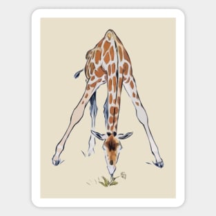 Baby Giraffe - Snack Attack Magnet